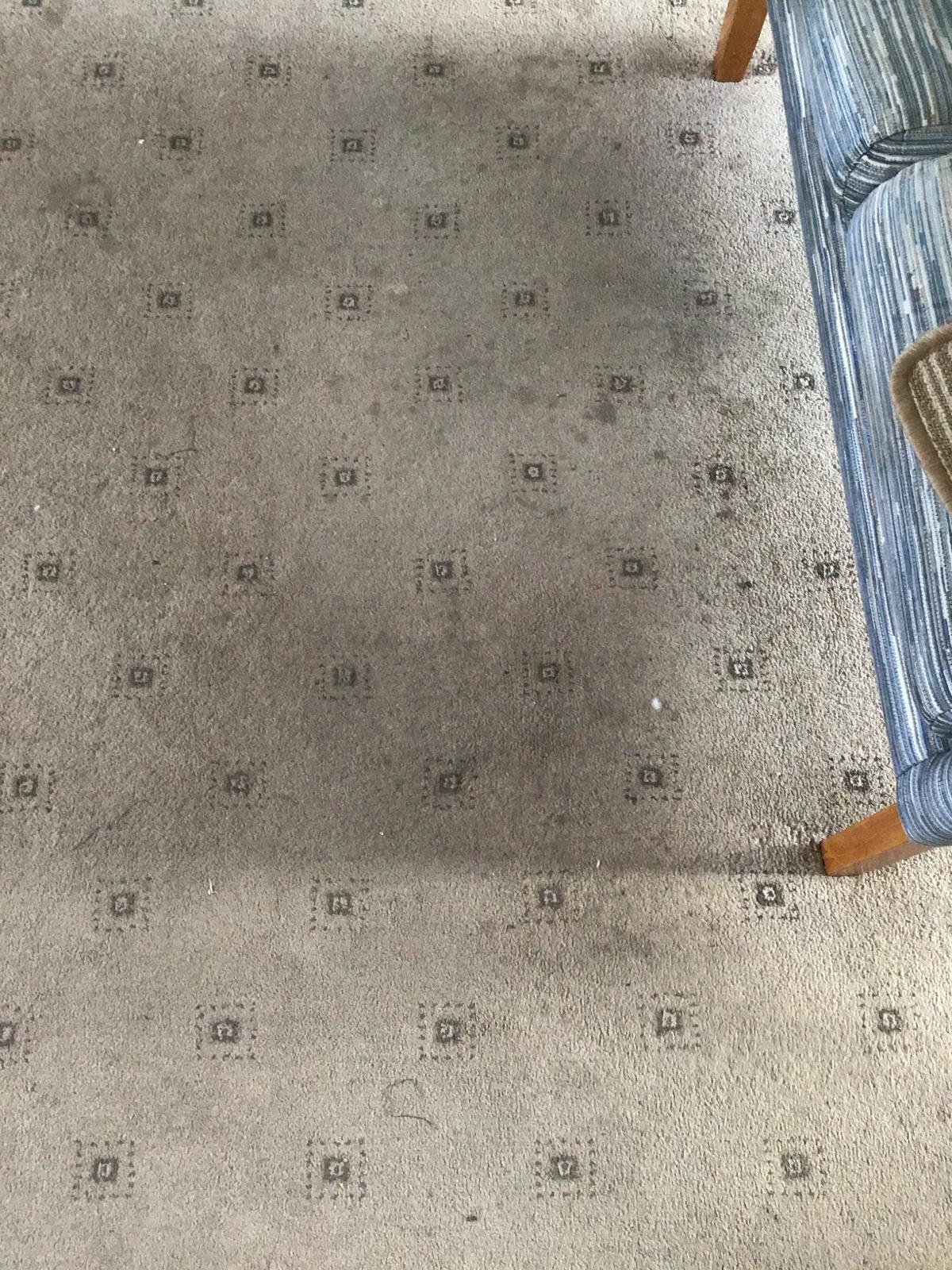 Dirty carpet