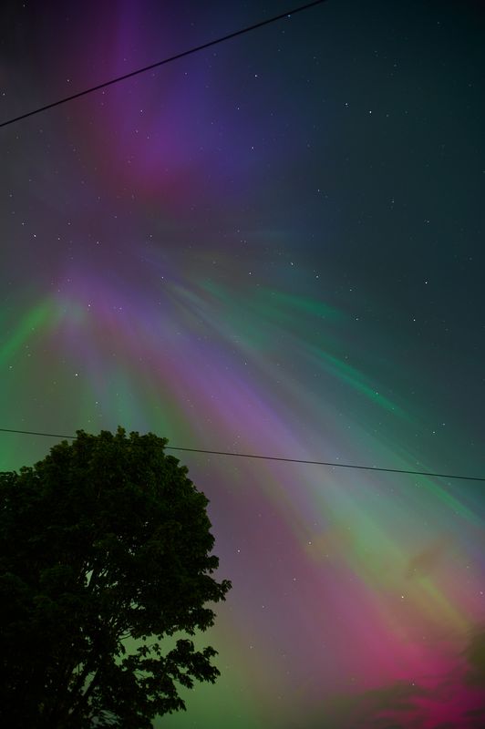 A spray of colour emanating from a central location.