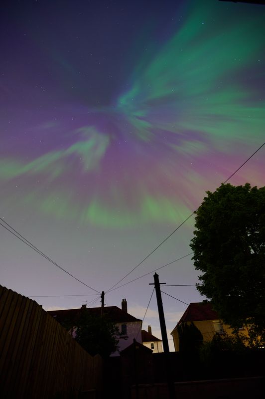 A blast of colours that looks somewhat like a bird in flight.