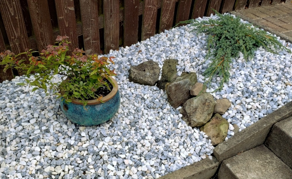 light grey gravel with a flower pot on the left and a plant on the right