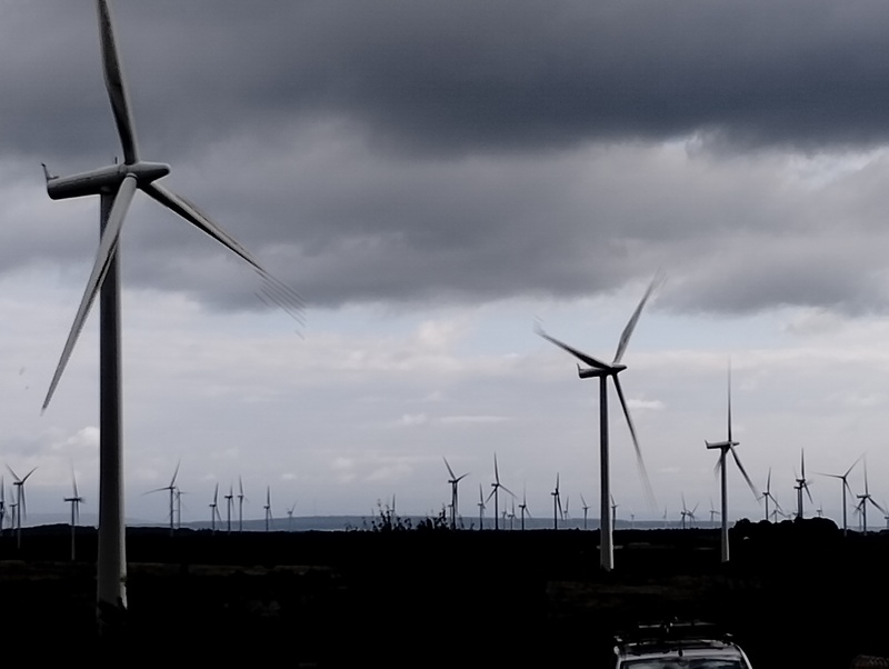 Windmills on a windfarm